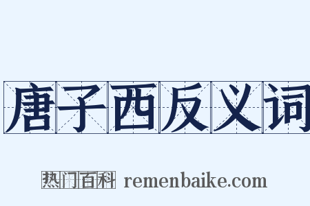 唐子西反义词是什么意思的图片
